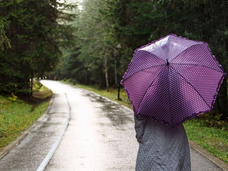 Сегодняшний прогноз погоды снова обещает дождь на весь день