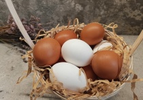 Яйца – это полезный и диетический продукт