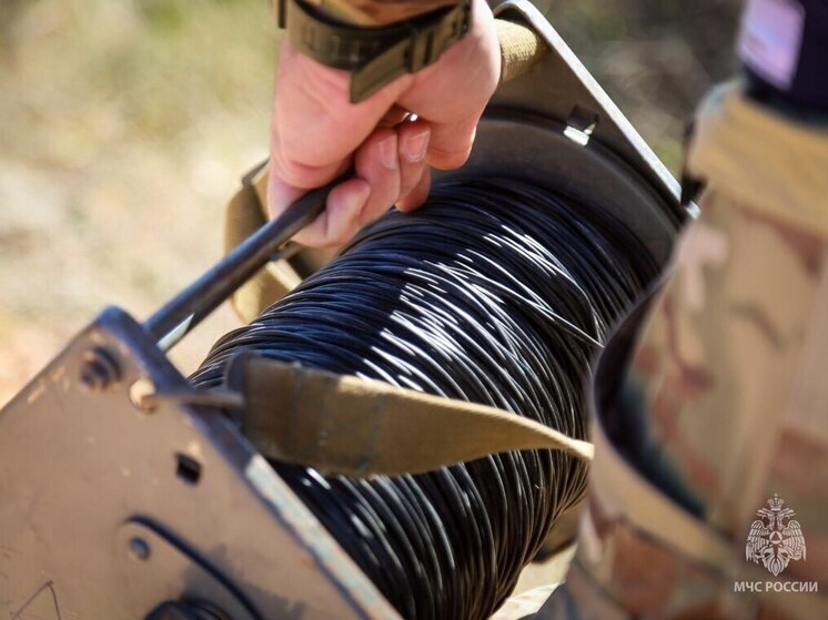 За неделю в Севастополе обезвредили 14 боеприпасов времен войны