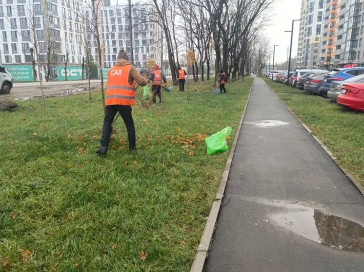 В Туле продолжается уборка города от опавшей листвы