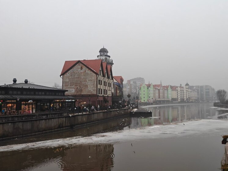 В Калининграде завершился третий этап Санпросветлектория для старшего поколения