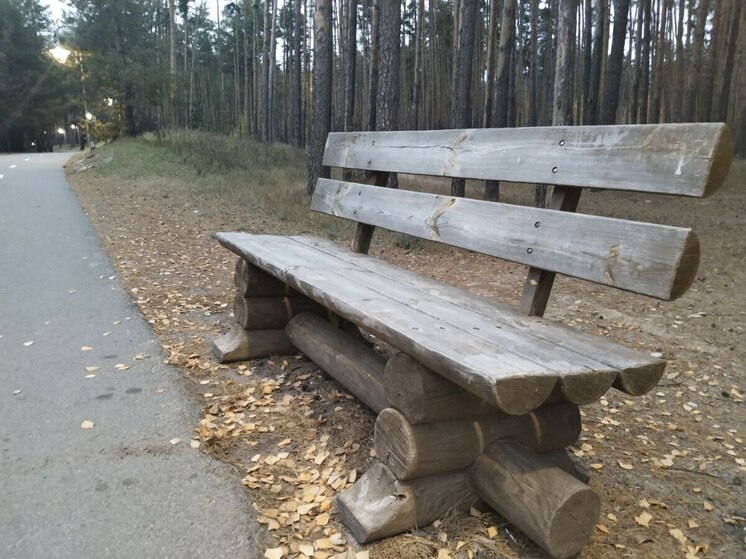 В Белгородской области похолодает до 0 градусов во вторник