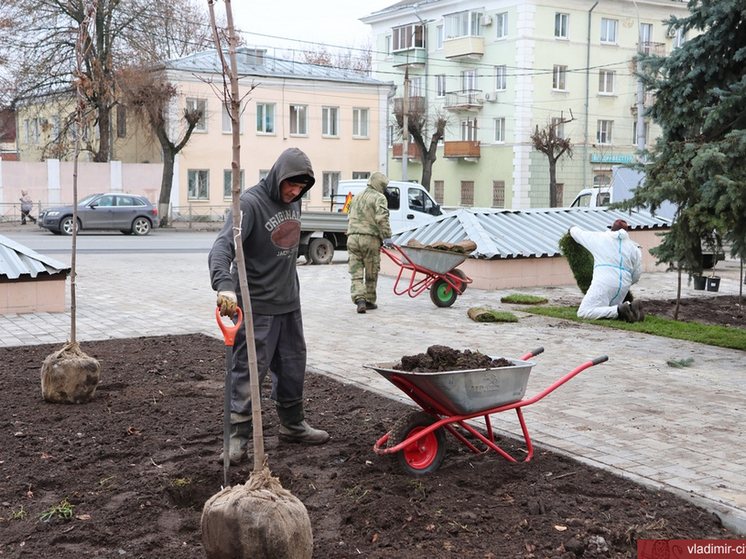 Вокзальный спуск во Владимире получит новое зеленое оформление