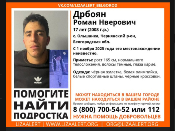 В Белгородской области пропал 17-летний парень