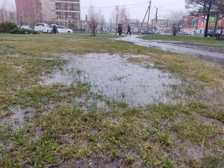 Алтайских водителей предупредили об опасной дорожной обстановке