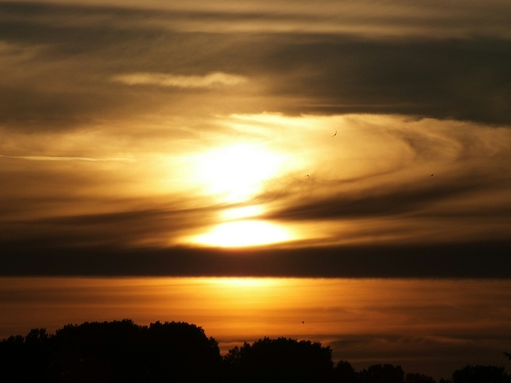 В ближайшие дни влияние солнечной активности на Землю будет увеличиваться