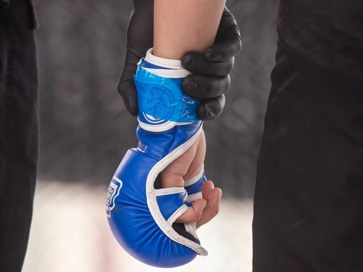 Туляки посетили семейное шоу «Богатыри» в Москве