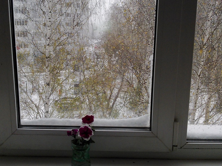 Сам выпал - сам растает: завтра в Перми снова снег, но продержится он только до среды