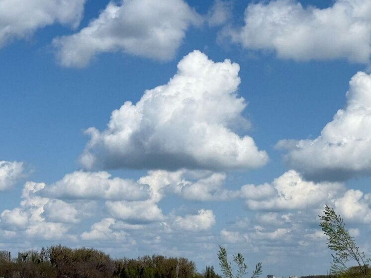 Легкомоторный самолет совершил аварийную посадку на Ставрополье