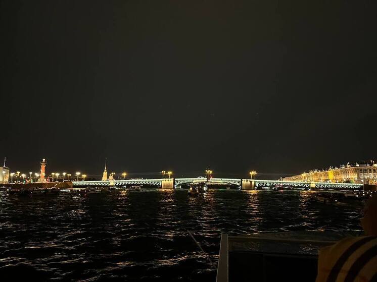 Мосты Петербурга подсветят цветами триколора 4 ноября