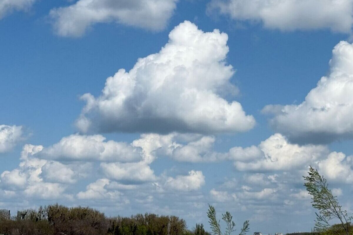 Легкомоторный самолет совершил аварийную посадку на Ставрополье