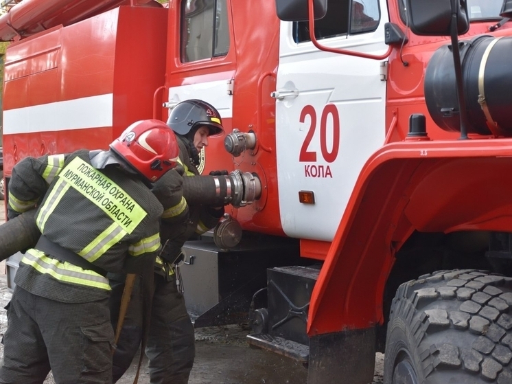 Пожар лишил северян гаража и машины в Молочном