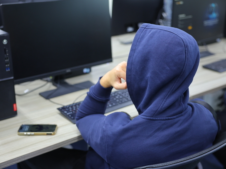 IT-специалисты из Волгограда «накручивают» опыт, чтобы получить работу