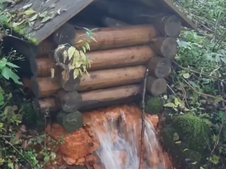 Калужан зовут надеть резиновые сапоги и отправиться на источники