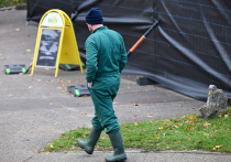 Министр экономики ФРГ Катерина Райхе признала, что Германия сейчас переживает небывалый экономический спад