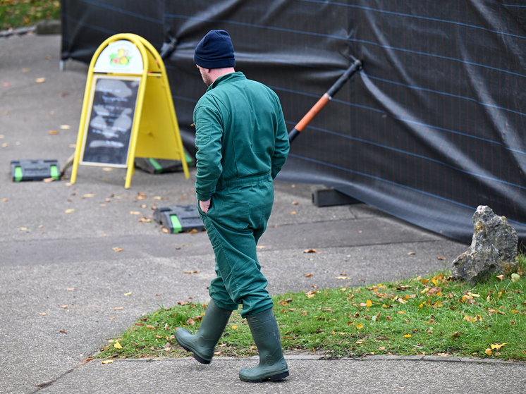 Министр экономики ФРГ Катерина Райхе признала, что Германия сейчас переживает небывалый экономический спад