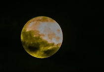  Растущая Луна в знаке Тельца — это время стабильности, чувственности и притяжения материальных благ. Энергия дня побуждает нас к практичным шагам, укреплению фундамента и поиску надежности во всех сферах жизни. Это день не для спринта, а для уверенного, основательного шага вперед.