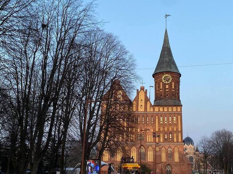 Калининградских долгожителей пригласили на праздник в конный центр «Раушен»