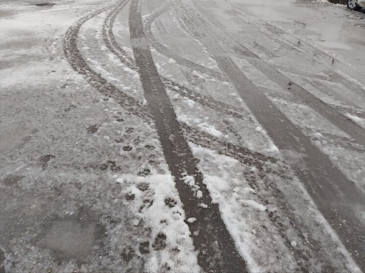Аномальное тепло задержится во Владимирской области до конца недели