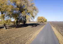 Пятого ноября православные верующие чтят память одного из семидесяти апостолов — Иакова, прозванного «братом Господним». В народе этот день получил название Яков день или Гужник. С этой датой связано множество традиций, запретов и погодных примет, которые подскажут, как провести день правильно и чего стоит остерегаться.