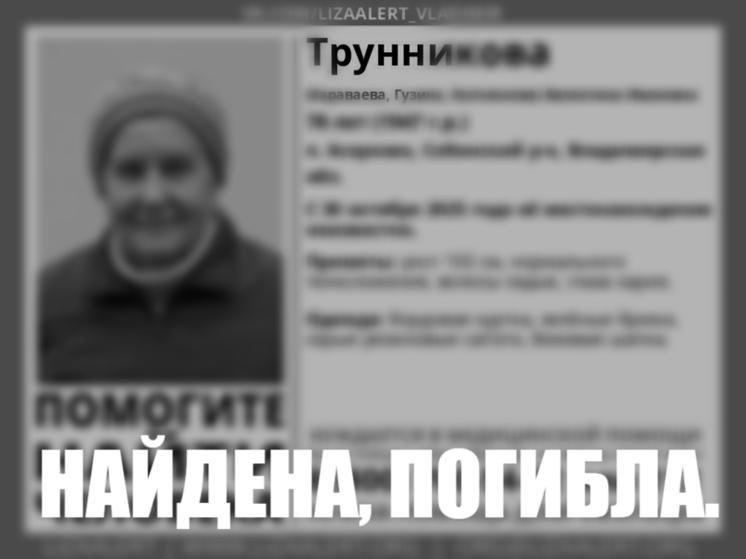 Найдено тело пропавшей пожилой женщины из Владимирской области