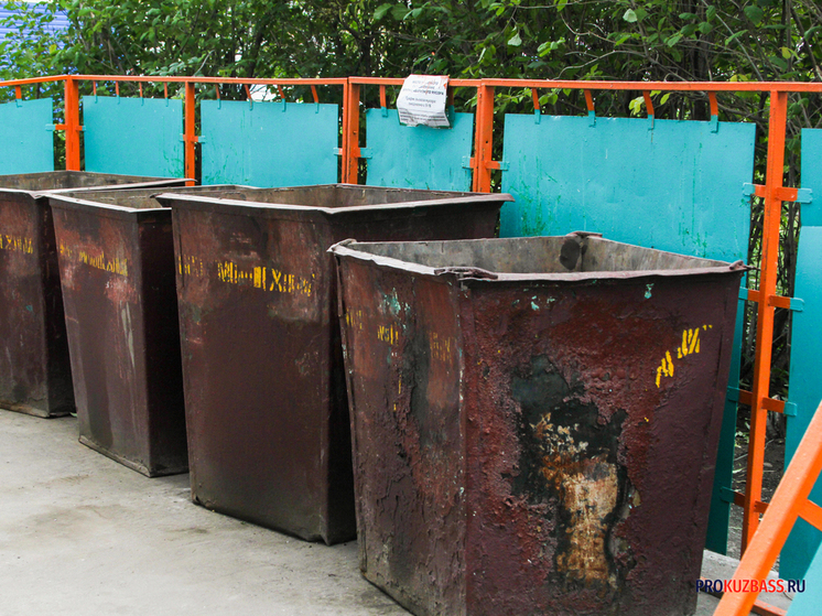 Михалыч пожаловался в сеть и заставил власти Кузбасса убрать свалку