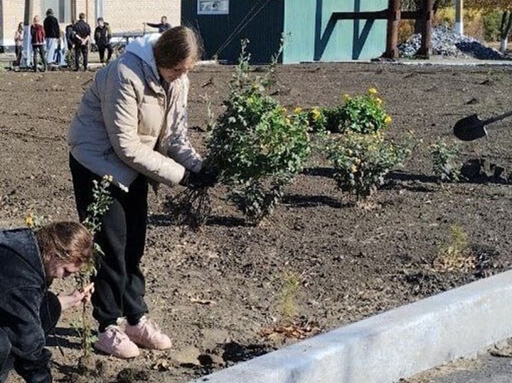 В Рубановской школе ко Дню народного единства прошла акция «Цветы дружбы»