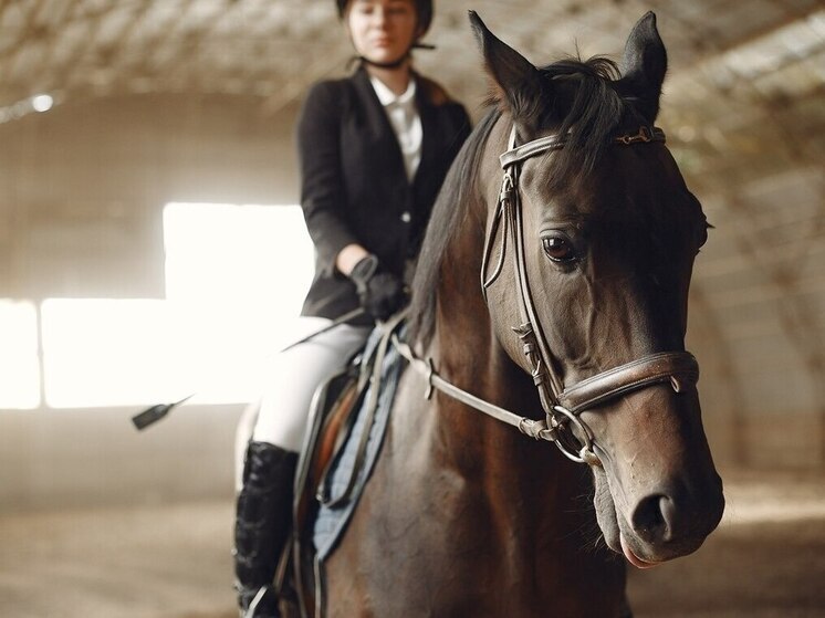 Тюменские спортсменки отправятся на всероссийские соревнования по выездке