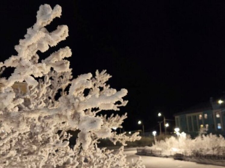 На западе Чукотки в понедельник ожидается похолодание до -40°C