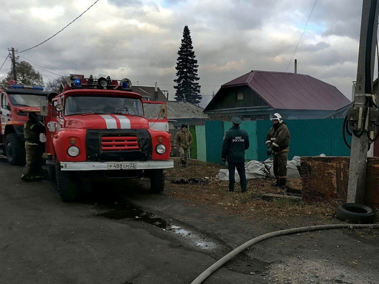 В барнаульских садоводствах загорелись несколько садовых домиков