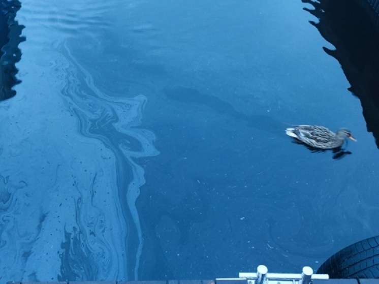 На Ладожском озере вновь обнаружены нефтяные пятна