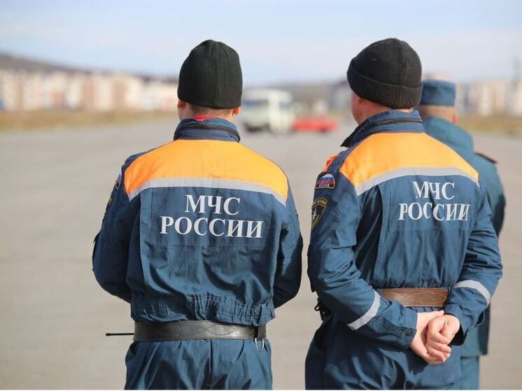 С начала года в Башкирии произошло 20 лесных пожаров