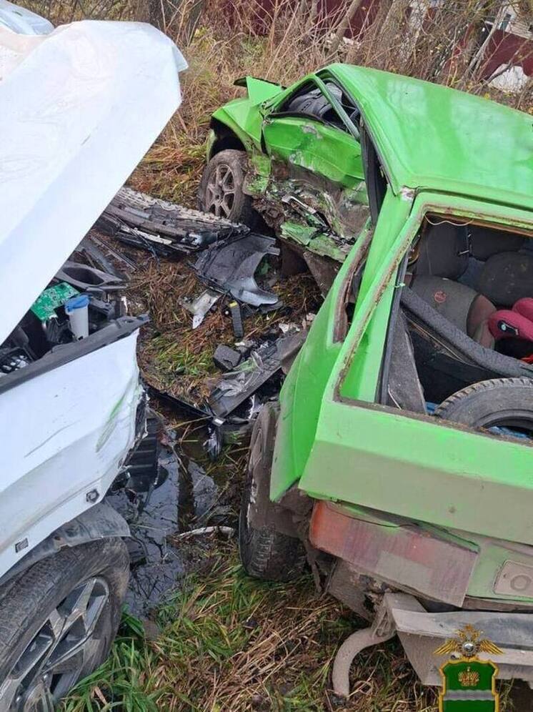 В ДТП в Жуковском районе погибла водитель и пострадали трое детей