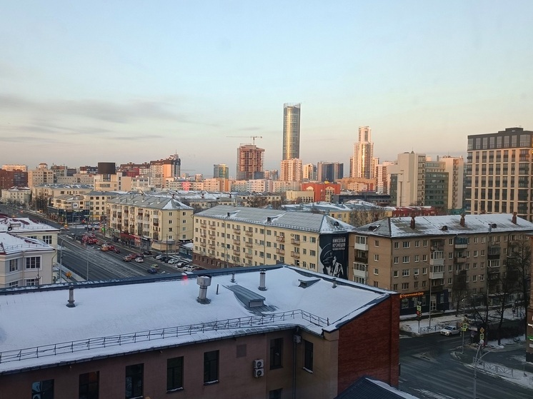 В частном доме в Екатеринбурге нашли десятки расплодившихся декоративных крыс