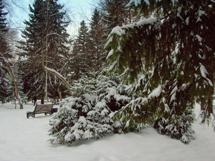 От 0 до -13: Омичей ждут температурные качели