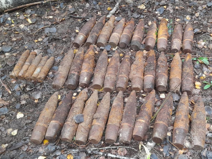 У калужской деревни нашли схрон боеприпасов