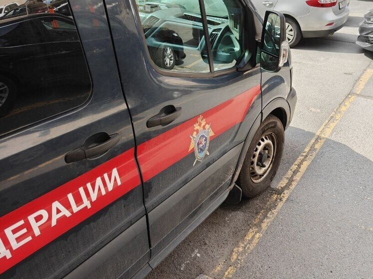 Бастрыкин поручил возбудить дело из-за устроившего без спроса ремонт петербуржца