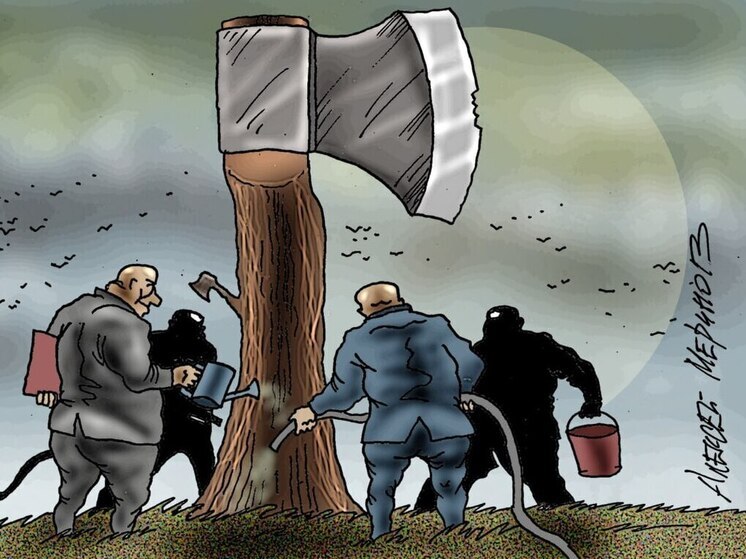 Экс-депутат и лесной магнат замешан в деле о взятках