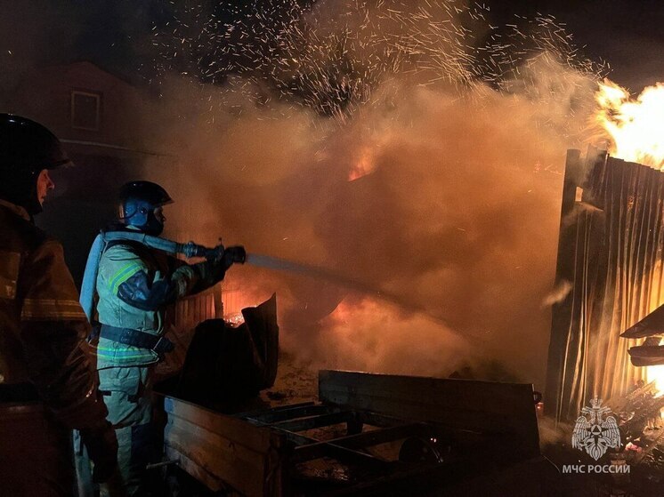 В пожаре в челябинском СНТ сгорел мужчина