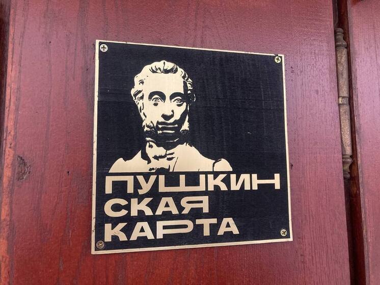 Ушлые жулики предлагают петербуржцам выводить деньги с «Пушкинской карты»