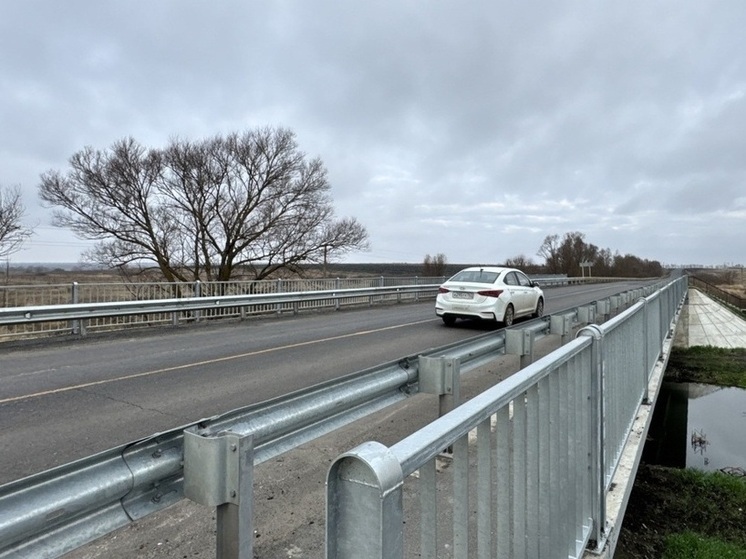 В Наровчатском районе Пензенской области ввели в эксплуатацию обновленный мост через реку Каурец
