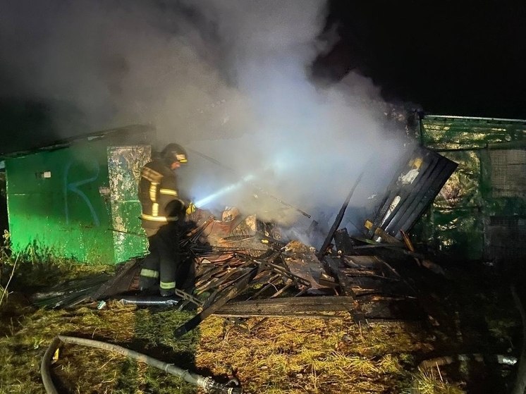 Пожарные потушили горящий гараж в Молочном