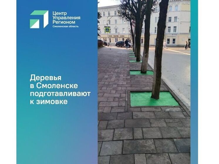 Смоленские деревья готовят к зиме