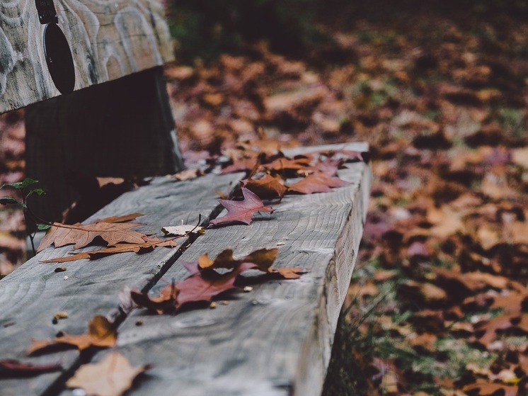 Приметы 4 ноября: что нельзя делать в день иконы Казанской Божией Матери