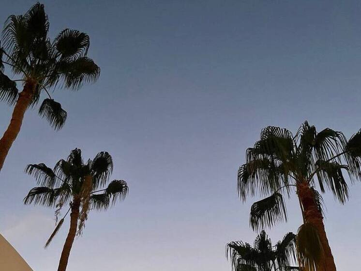 Петербурженка таинственно исчезла с пляжа в Анталье