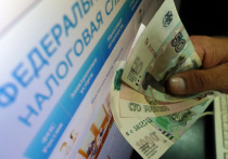 С ноября налоговые органы получили право во внесудебном порядке взыскивать с граждан задолженность по обязательным платежам