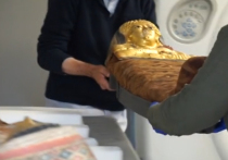 Любопытный случай с зеленой мумией на протяжении десятилетий ставил ученых в тупик