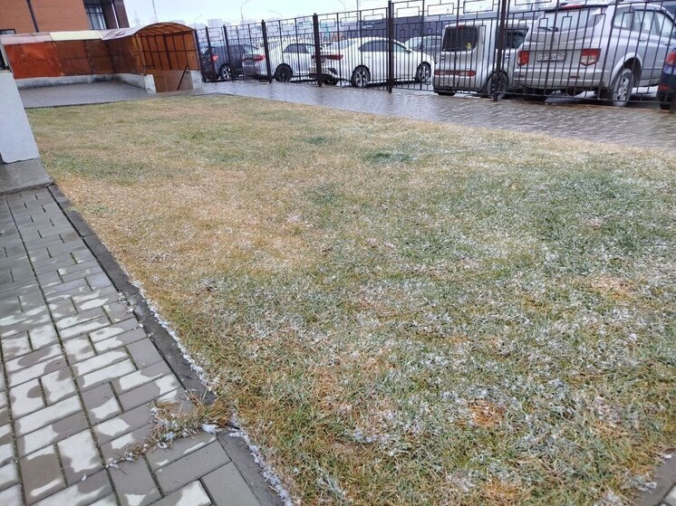 4 ноября в Новосибирске выпали осадки в виде снега с дождём