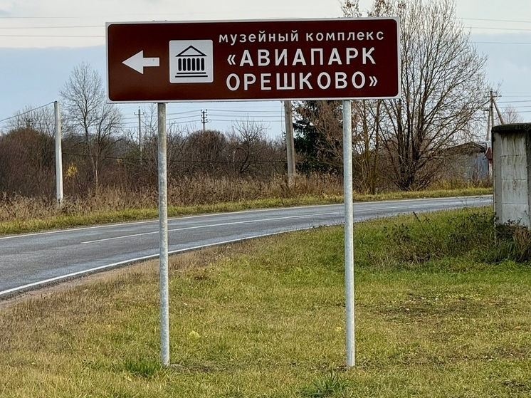 В калужском авиапарке запустят реактивный самолет