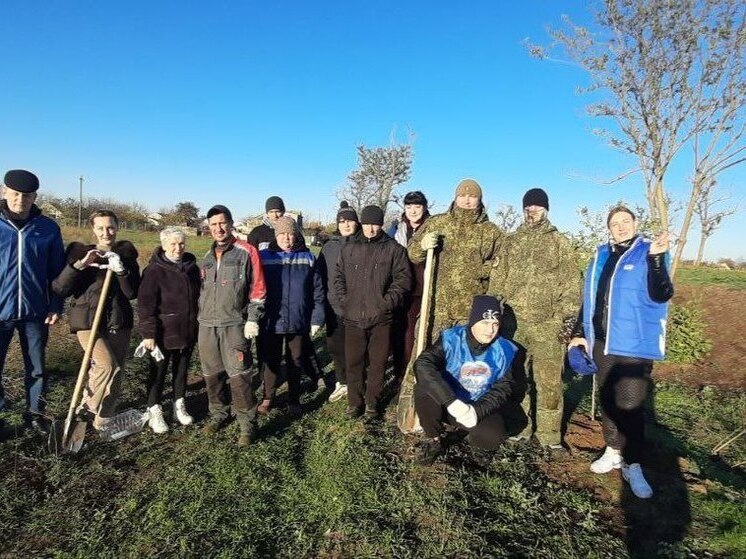 В Васильевке ко Дню народного единства высадили новые деревья вместо погибших от пожаров